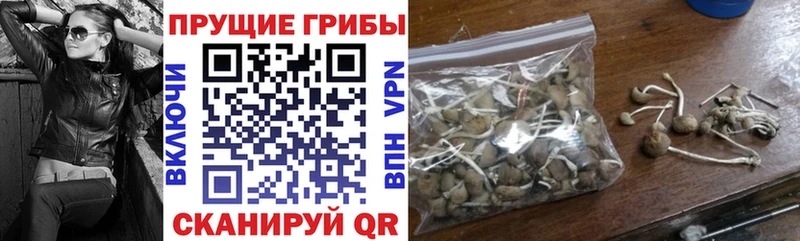 Галлюциногенные грибы MAGIC MUSHROOMS  Калтан 